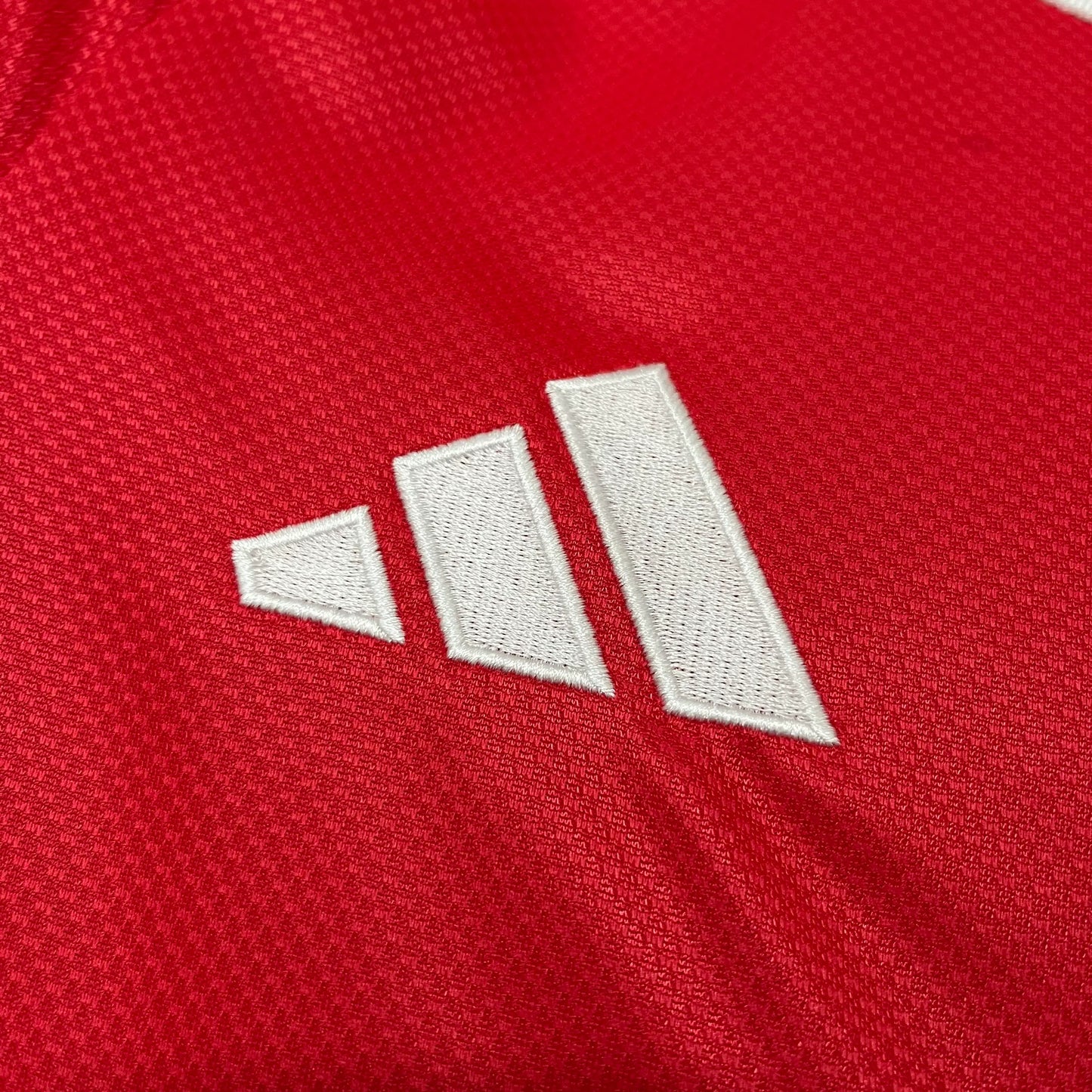 Camisola Benfica 2025/26 Home - Torcedor