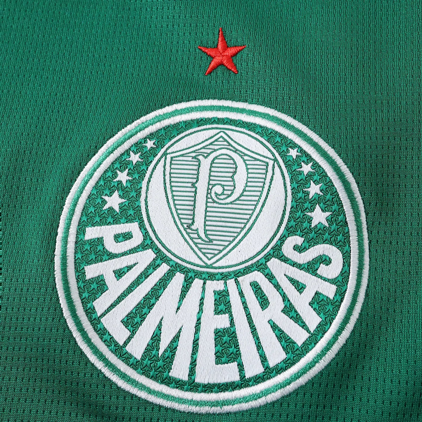 Camisola Palmeiras 2026-27 Home - Torcedor