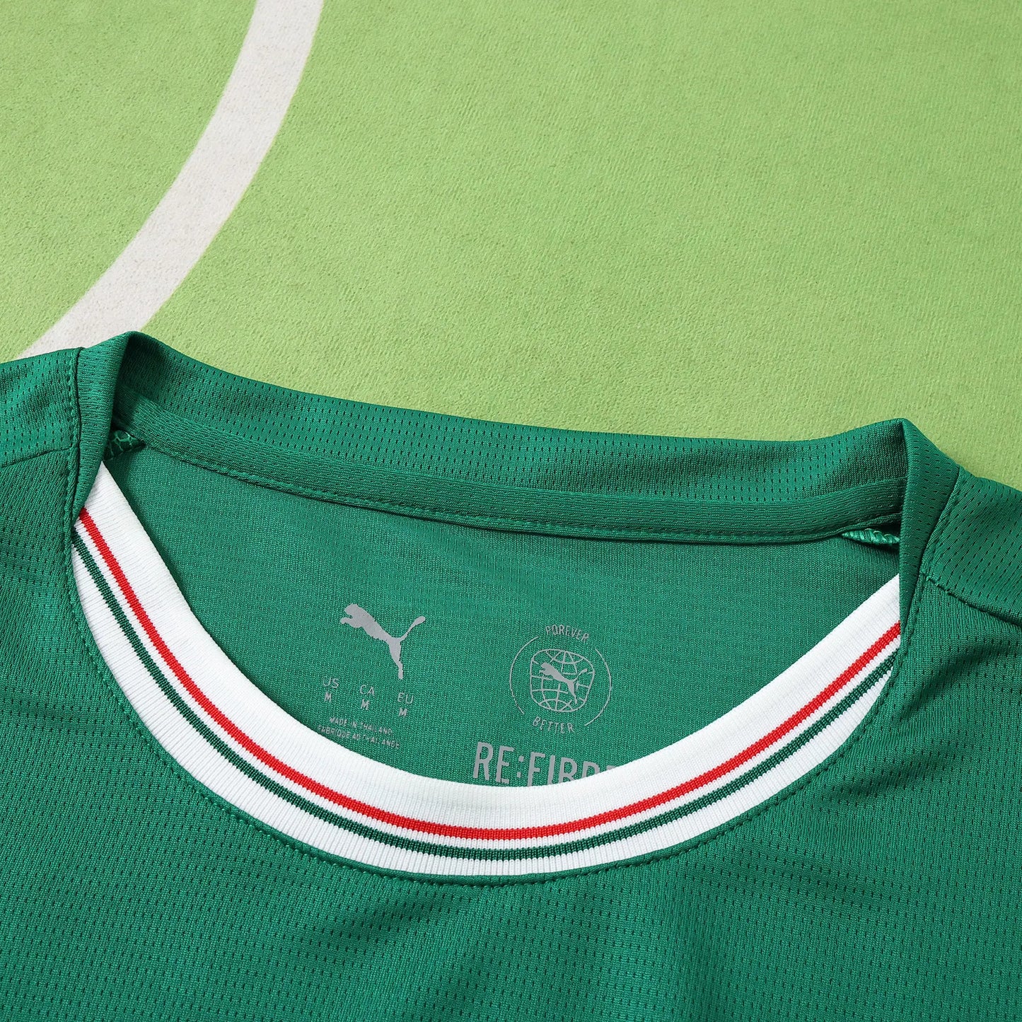 Camisola Palmeiras 2026-27 Home - Torcedor