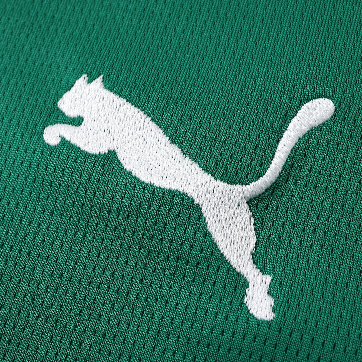Camisola Palmeiras 2026-27 Home - Torcedor