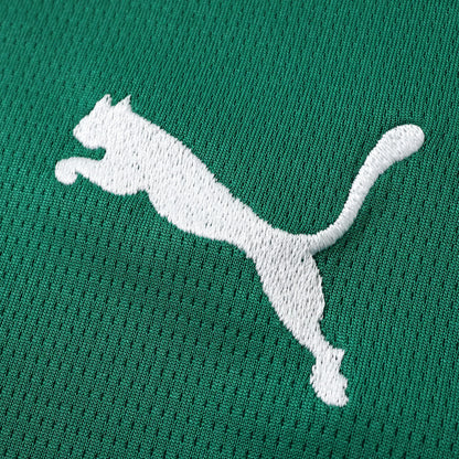Camisola Palmeiras 2026-27 Home - Torcedor