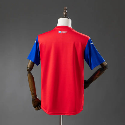 Camisola Bahia 2025/26 Edição Especial - Torcedor