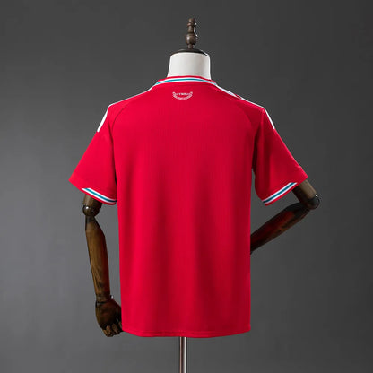 Camisola Gales 2026 Home - Torcedor