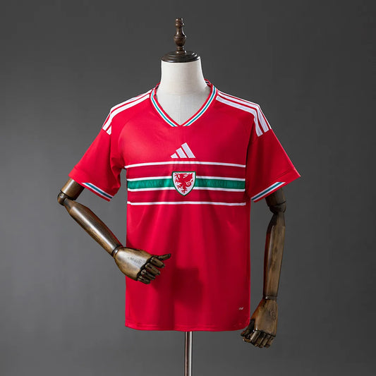 Camisola Gales 2026 Home - Torcedor